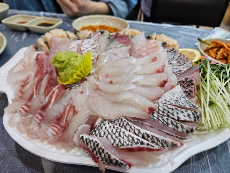  노량진 수산시장 벌교아줌마/전라도회양념 후기(감성돔,참돔,전갱이,대광어 회)