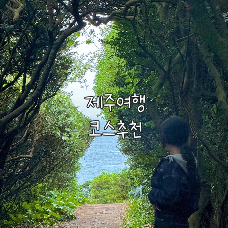  2박3일 제주여행 다녀온 J인척 하는 P의 알찬 제주일정 2일차 코스추천