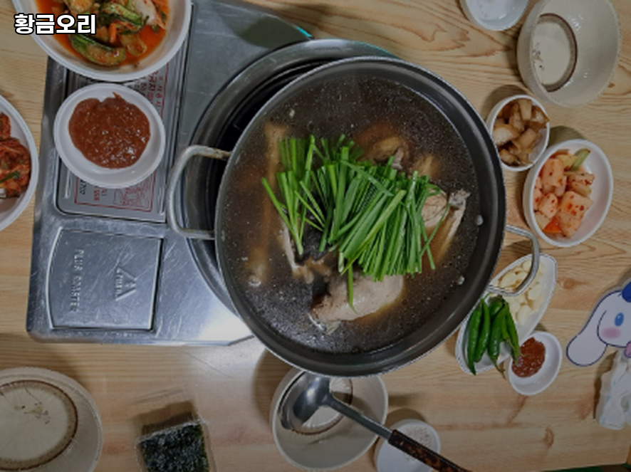 황금오리 사진 3