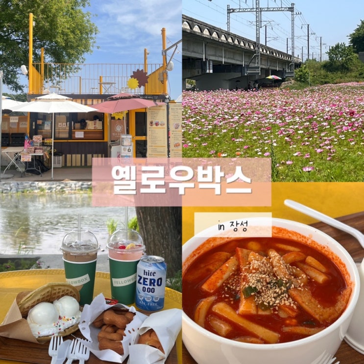  장성 황룡강 카페 홍길동무 꽃길축제 나들이 옐로우박스