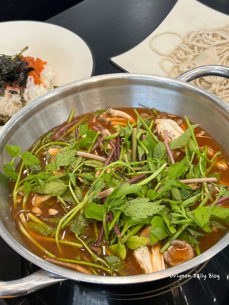  부산 칼국수 맛집 버섯 미나리 듬뿍 윤우재 문현 샤브 칼국수