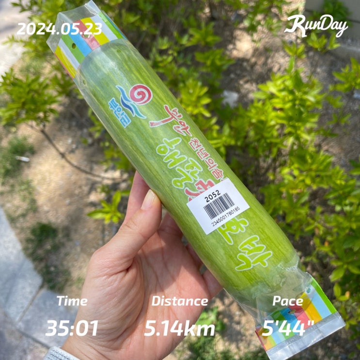  [465.25km] 달리기를 하니 애호박을 싸게 득템했다 이 말이야
