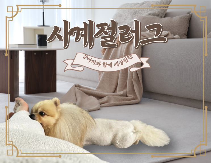  먼지걱정없는 사계절러그 세상편한 물세탁 카페트 인테리어효과는 덤