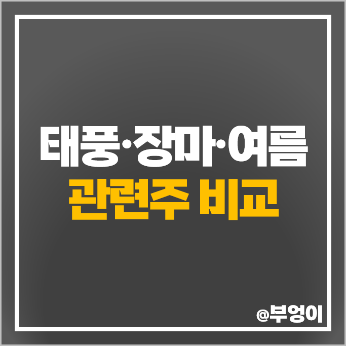 태풍 관련주 여름 장마 테마주 수혜주 대동 조비 파루 주가 태풍 관련주 여름 장마 테마주 수혜주 대동 조비 파루 주가