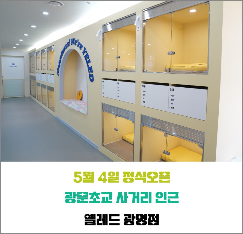 옐레드 애견유치원&애견호텔 광명점