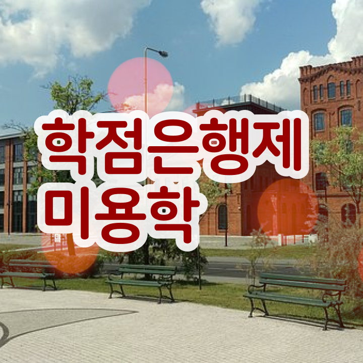  헤어디자이너 대학 , 종합미용자격증 시험과 실기없이 취득한 노하우