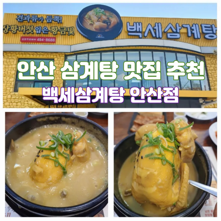 안산 삼계탕 맛집 신길동 맛집 몸보신 복날 추천 상황버섯삼계탕 안산 삼계탕 맛집 신길동 맛집 몸보신 복날 추천 상황버섯삼계탕