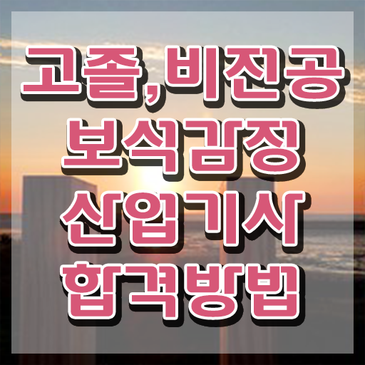  보석감정산업기사 필기 독학 보석감정산업기사 자격요건 인강으로 15주 동안 완료한 후기