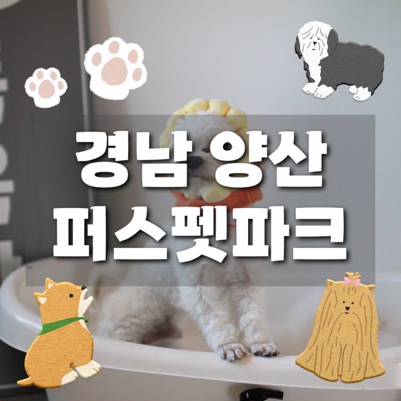 사진 4
