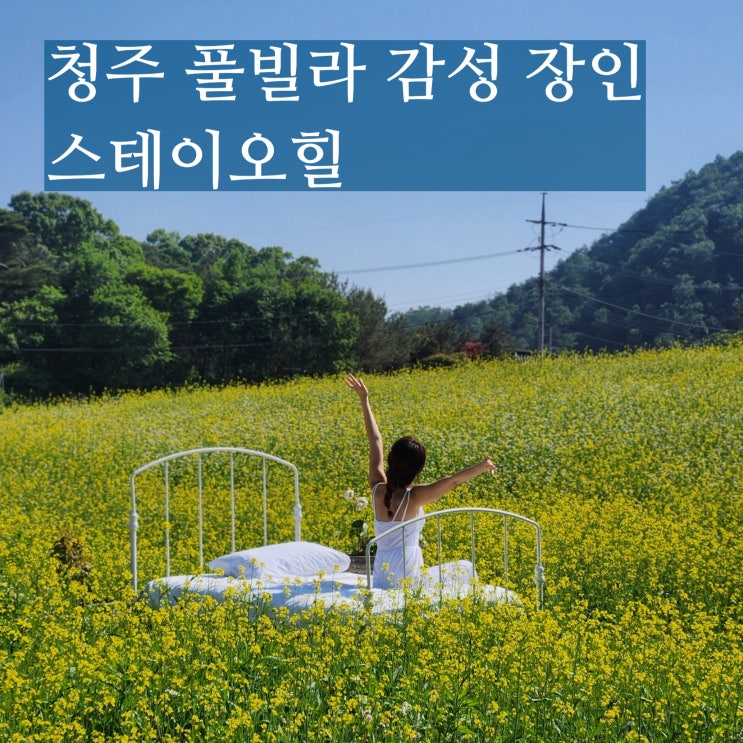  충북 청주 근교 풀빌라 펜션 스테이오힐 감성 유채꽃