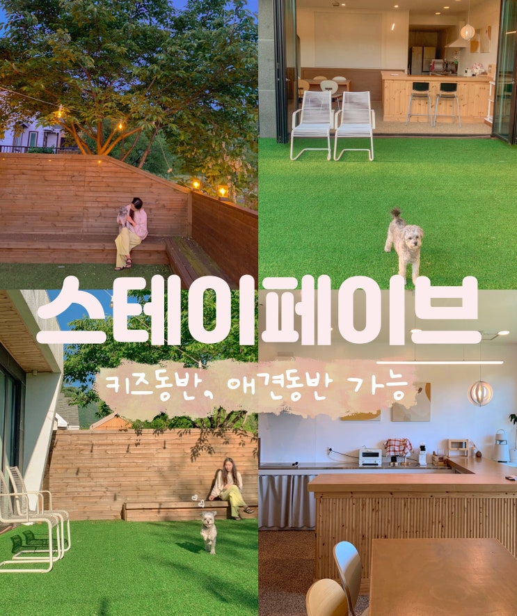  강원도 원주 독채펜션 스테이페이브 애견동반 키즈 단체 가능한 감성숙소 추천