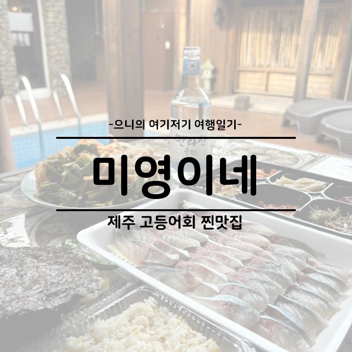  제주도 모슬포항 고등어회 맛집 미영이네 포장 예약 후기