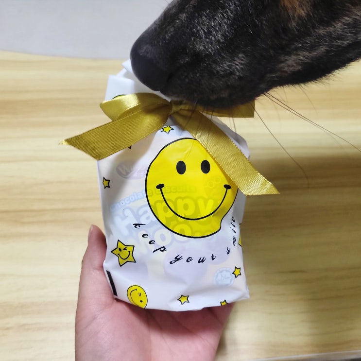   용우는 독테소리 하는 중 ️