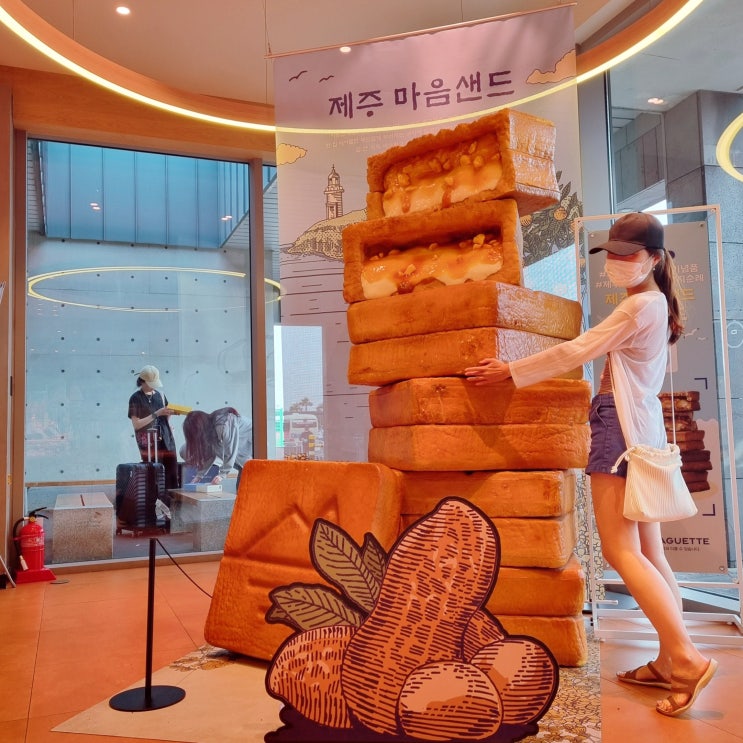  제주 마음샌드 한라봉 제주공항 파리바게트 제주마음샌드(예약필요X)