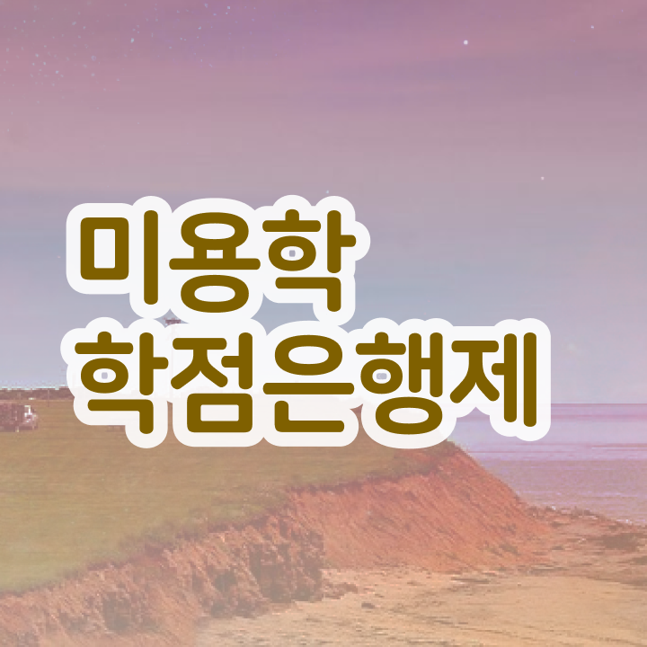  이용사 자격증 필기 과정 통과 못해도 , 집에서 온라인으로 헤어자격증 갖출 수 있었던 과정