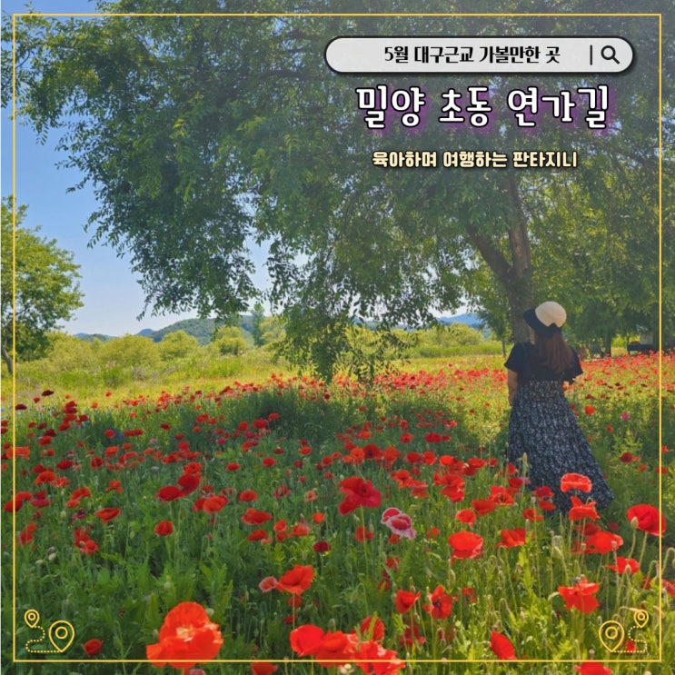 밀양 초동연가길 - 양귀비 금계국 명소, 대구근교 데이트, 가족나들이로 가볼만한 곳