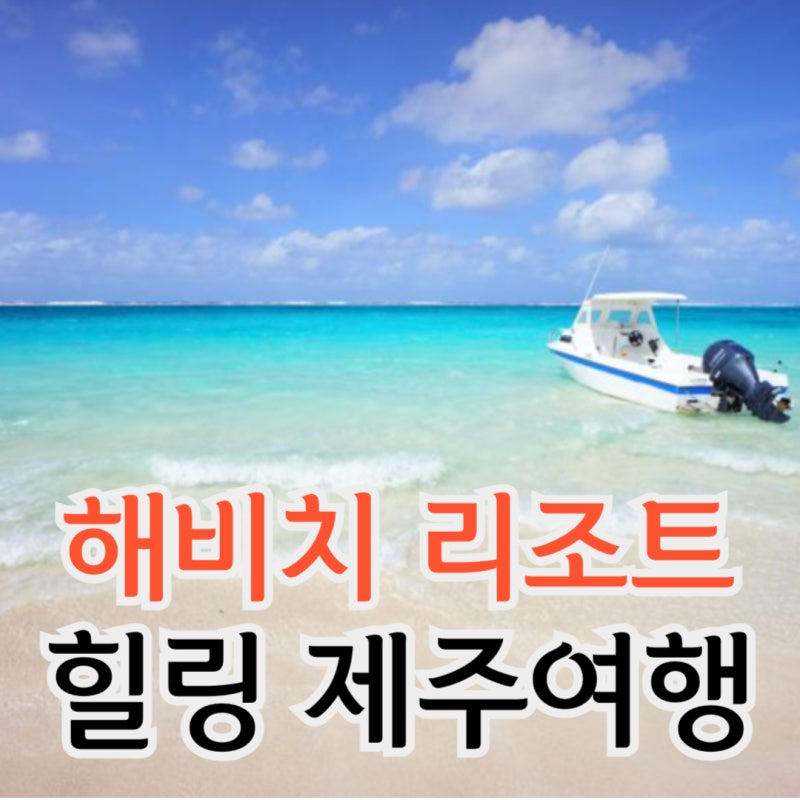 사진 6