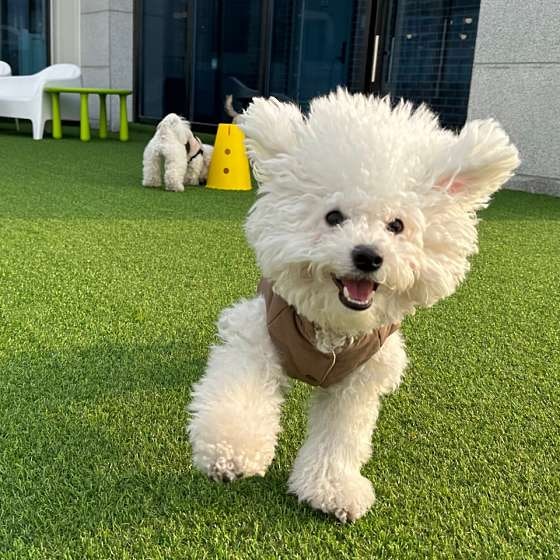 사진 7