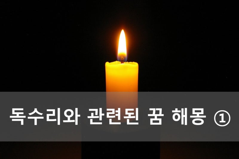 독수리와 관련된 꿈 해몽 ①