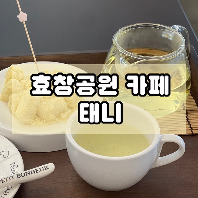  용산 효창공원 카페 수제 꽃차 맛집 태니