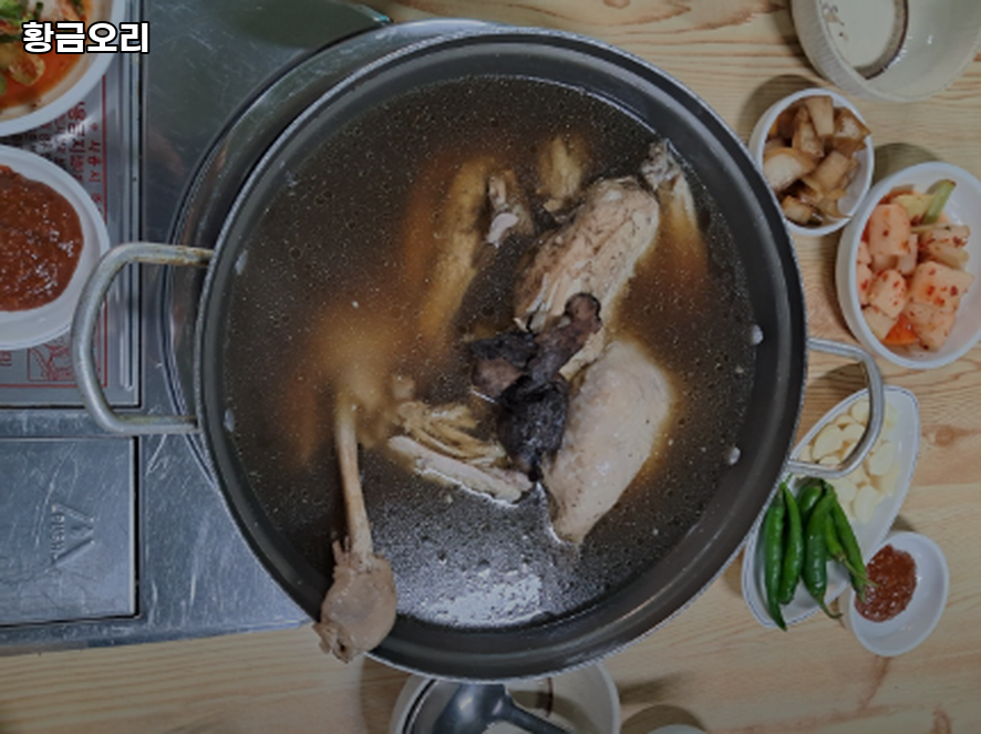 황금오리 사진 1