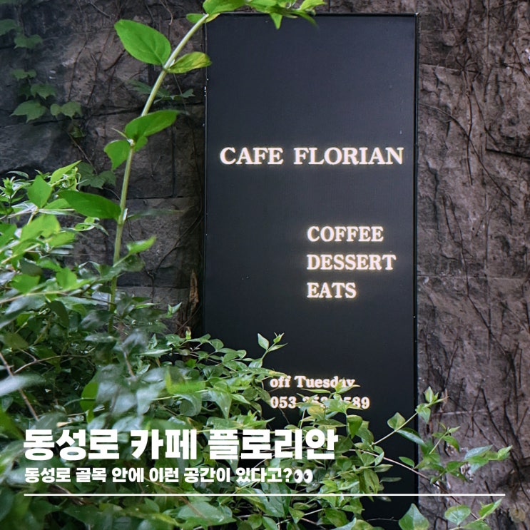  대구 수제 티라미수 케이크 맛집 동성로 카페 플로리안