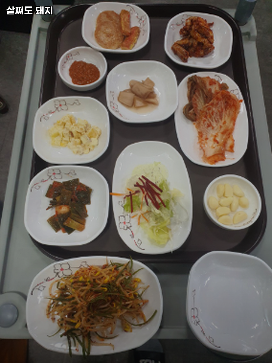 살쪄도돼지 사진 4