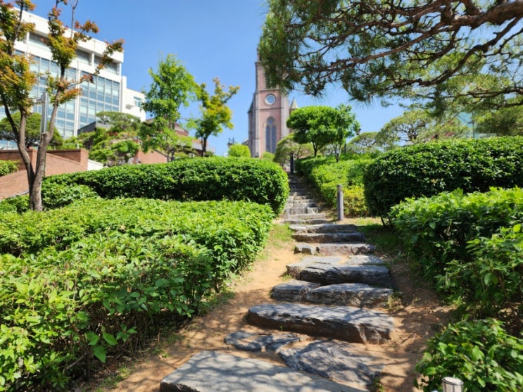  명동 가볼만한곳 서소문순례길 명동성당 성물방