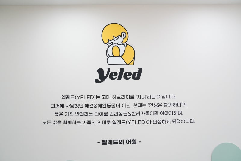 사진 2