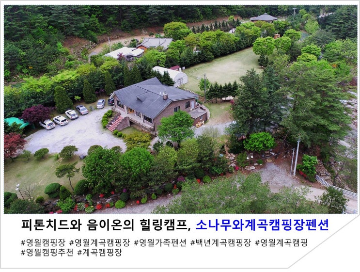  피톤치드와 음이온의 힐링캠프, 소나무와계곡캠핑장펜션