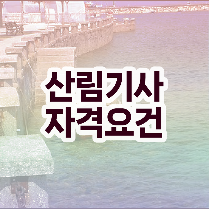  산림기사 필기문제 산림기사 응시조건 온라인 과정으로 4달 안에 준비한 과정