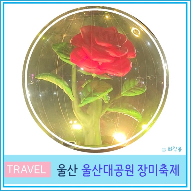  울산대공원 장미축제 2024 주차장 장미원 입장료 불꽃놀이 부산근교 가볼만한 곳 5월 꽃 축제