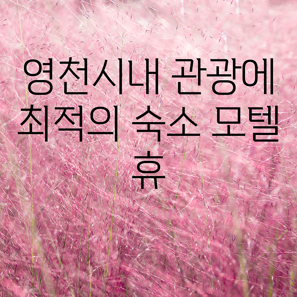 모텔휴 사진 3