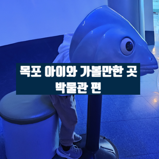  목포 아이와 박물관 4곳 목포어린이바다과학관, 목포자연사박물관, 목포해양유물전시관, 목포자연사박물관