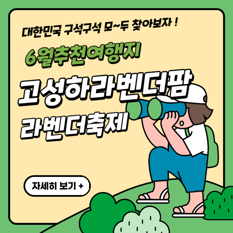   고성 하늬라벤더팜: 6월에 꼭 가야 할 추천 여행지! 
