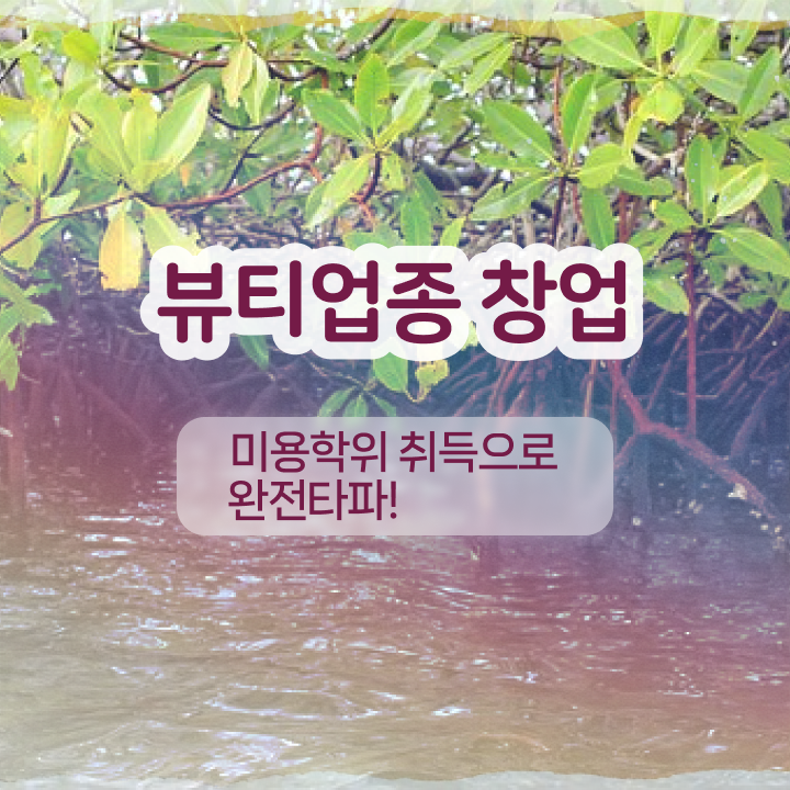  반영구눈썹 문신 , 반영구화장 창업 시작할 때, 취득해야 하는 자격사항 인강만 듣고 독학으로 미용사자격증 손쉽게