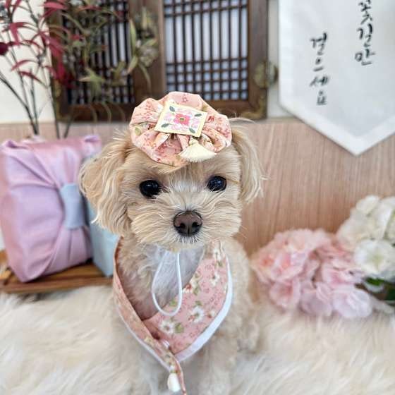 사진 9