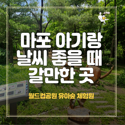  서울 마포 아기랑 주말에 가볼 만한 곳 : 월드컵공원 유아숲체험원