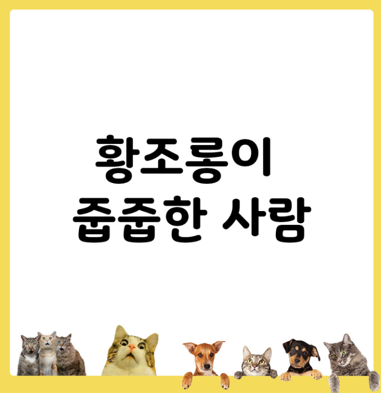 황조롱이 줍줍한 사람