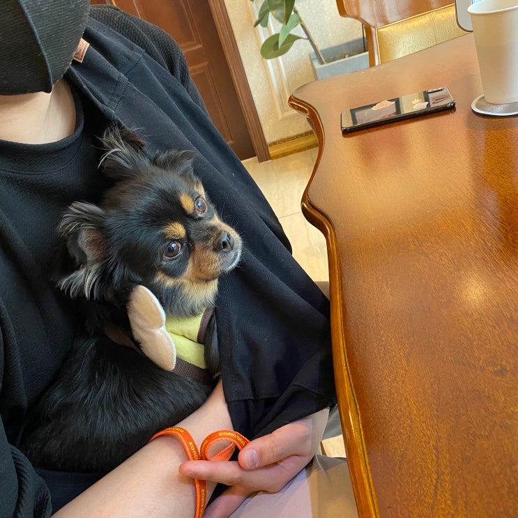  [ 아크레도 웨딩링 각인 ]
