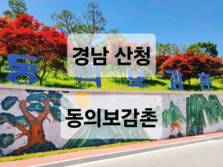  경남 산청 볼거리 체험거리 많은 자연속의 명소 '동의보감촌'