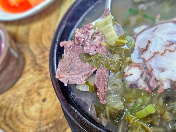  속초 문어국밥 중앙시장 근처 맛집 현지인 추천