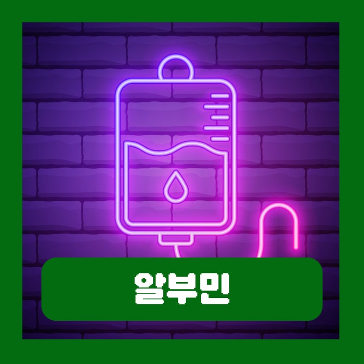  알부민 뜻 효능 부작용 수치 부족 주사 영양제 수액 투여 속도