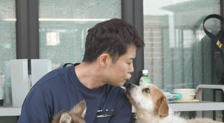 나혼산 <b>전현무 유기견</b> 봉사 강아지 <b>입양</b> 애견 유치원 경동시장... 
