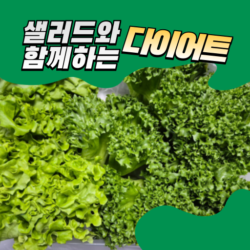  내돈내산 유럽샐러드 채소 다이어트용으로 가성비 굿!
