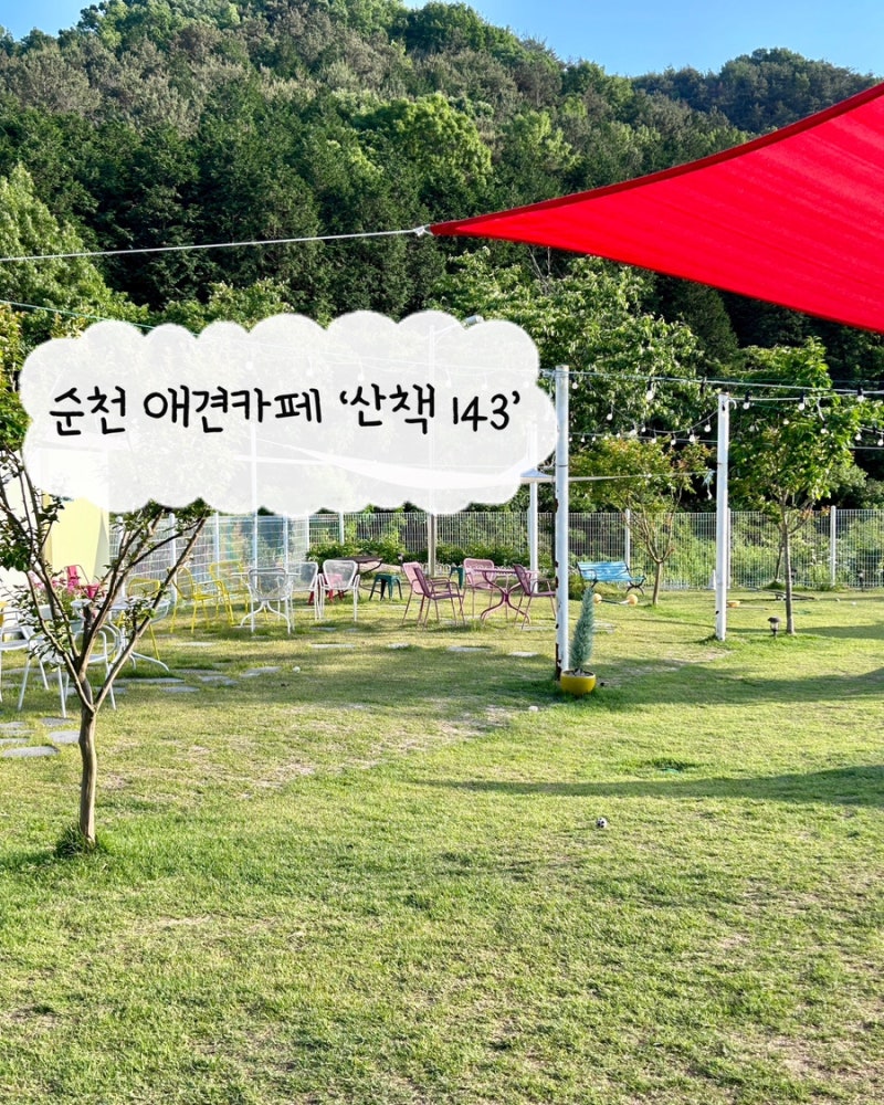 사진 2