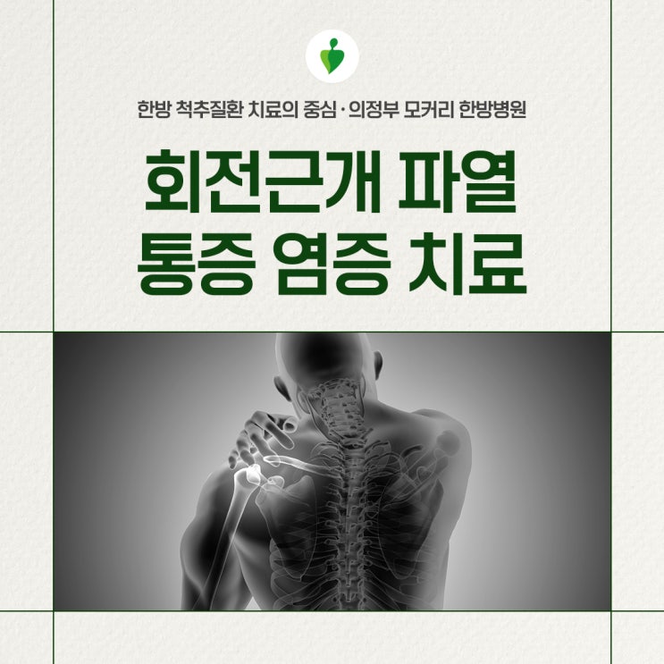  의정부 모커리한방병원 회전근개파열 통증 염증 줄이는 비수술 치료
