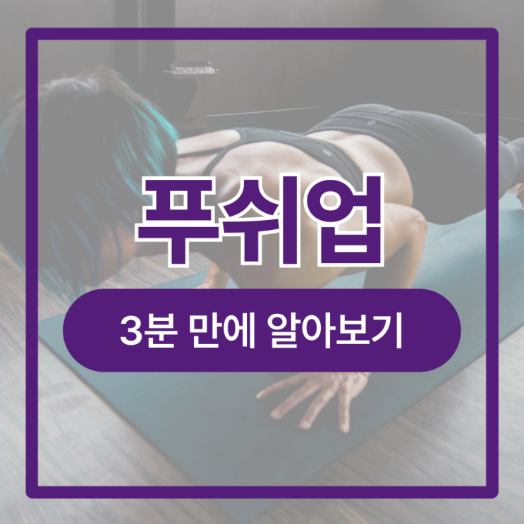  푸쉬업 자세 효과 팔굽혀펴기 매일 100개 루틴