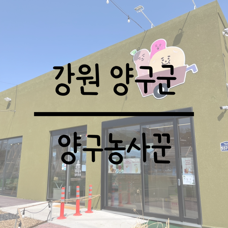 양구농사꾼