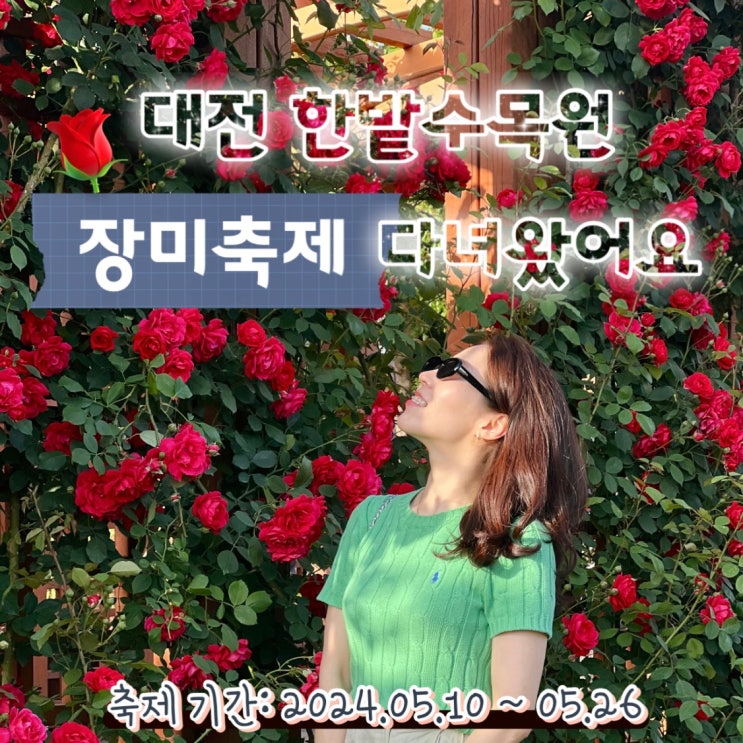  대전 한밭수목원 장미축제 장미원 샤스타데이지 산책로 나들이